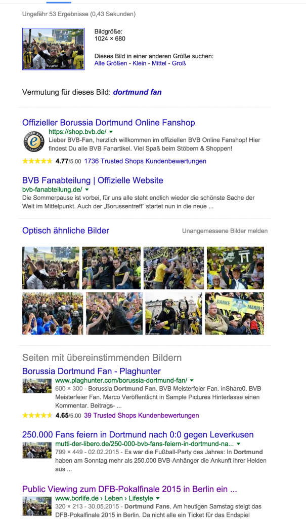 Beispiel 1: BVB Fan