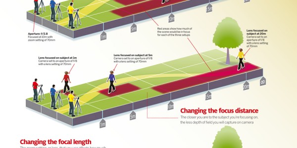 3 ways to affect depth of field: free cheat sheet