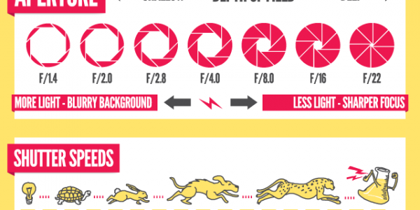 Infographic: Manual Mode