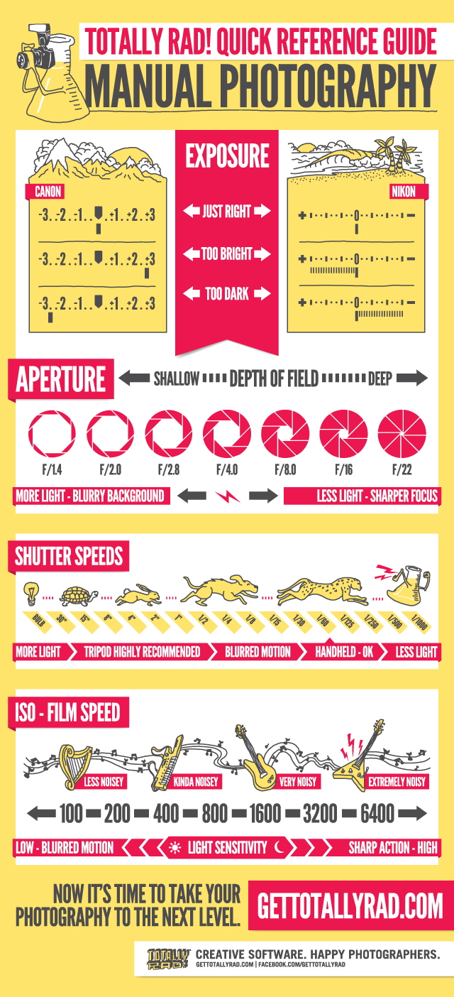 Infographic: Manual Mode